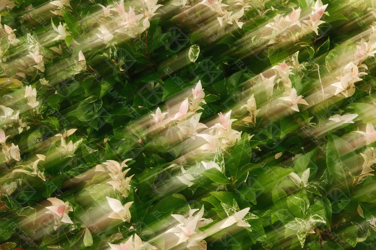 Ethereal Weapon