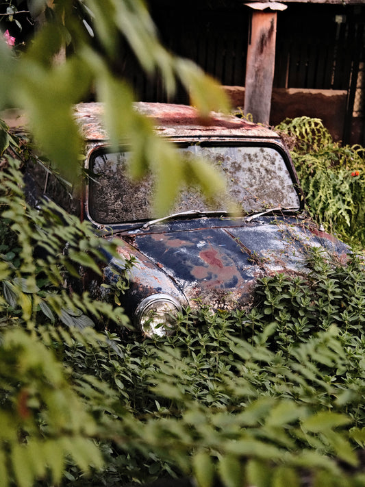 Overgrown Vintage