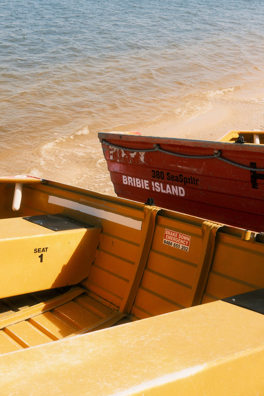 Bribie Streisand