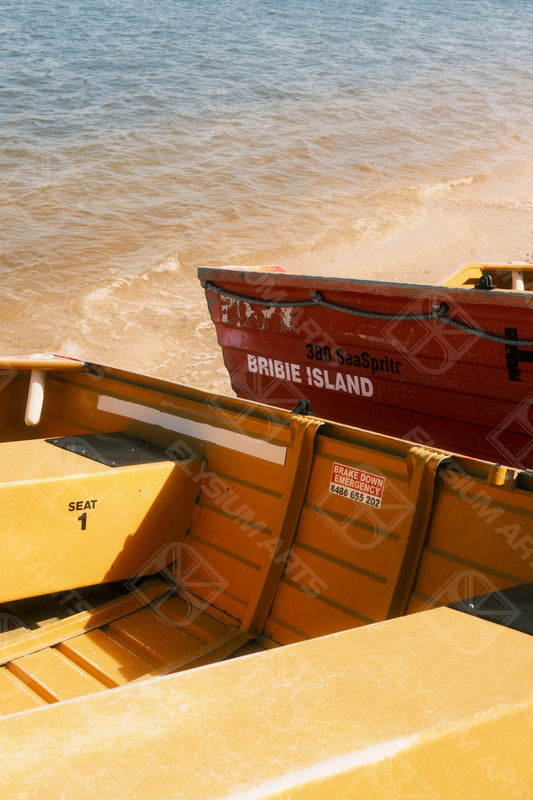 Bribie Streisand